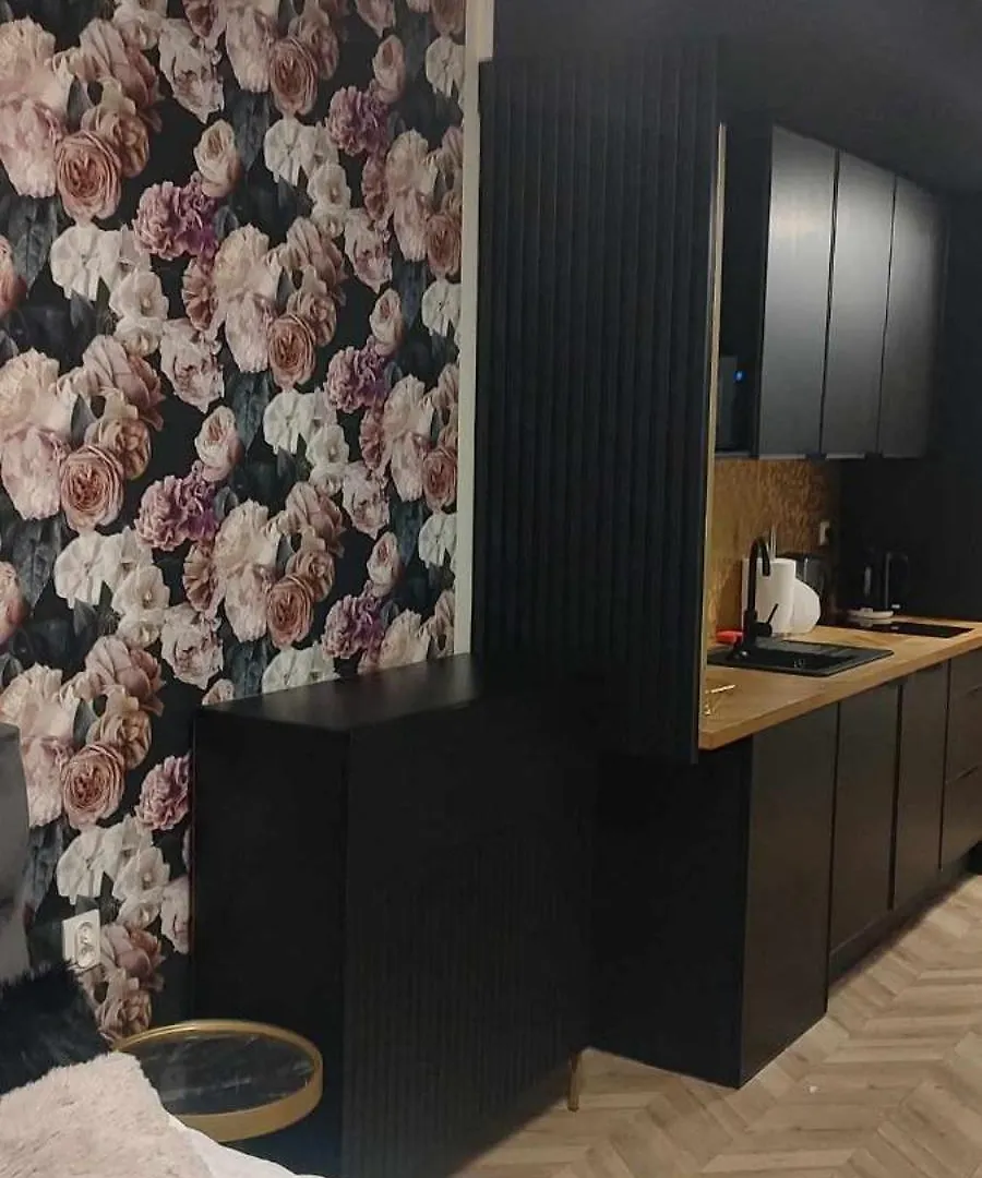Lux Old Town Apartments - Plac Wolnosci 6 Poznan